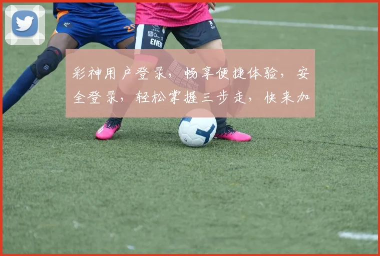 彩神用户登录，畅享便捷体验，安全登录，轻松掌握三步走，快来加入我们
