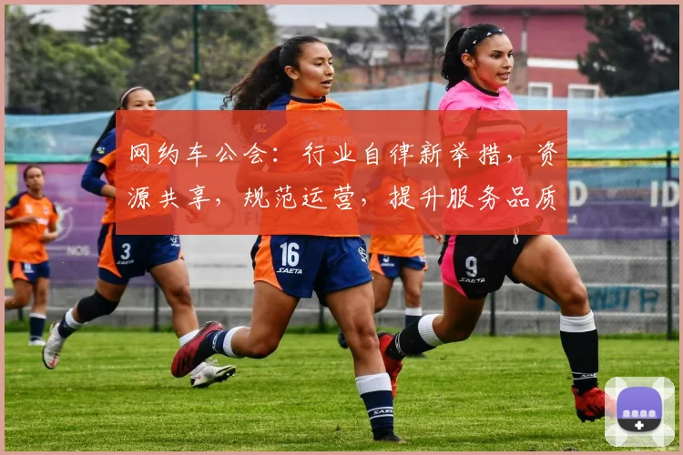 网约车公会：行业自律新举措，资源共享，规范运营，提升服务品质，助力发展。