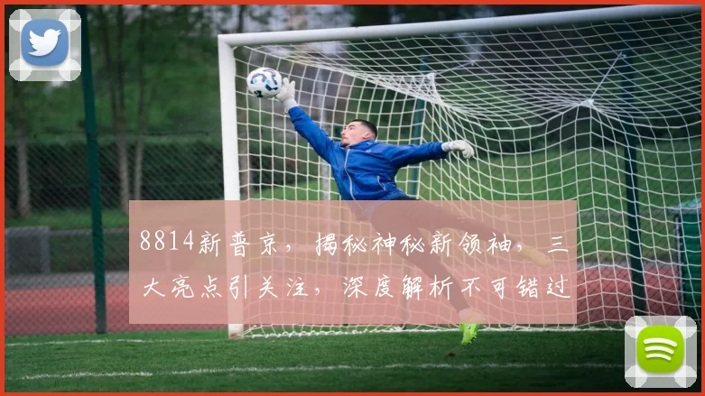 8814新普京，揭秘神秘新领袖，三大亮点引关注，深度解析不可错过